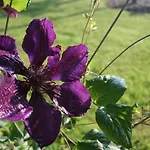 Waldbothgut